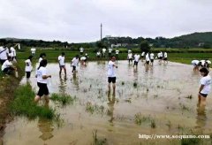 长沙周边游休闲旅游好去处龙头尖山庄