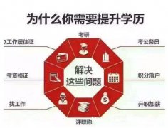 正规自考大学本科学历专升本财务管理专业双证带学位