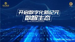 数字革命的先锋——LC SaaS，助力企业翱翔云端.