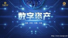 数字革命的先锋——LC SaaS，助力企业翱翔云端.